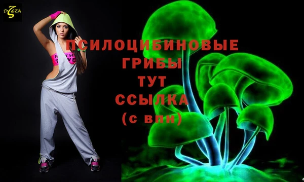 соль курить ск Струнино