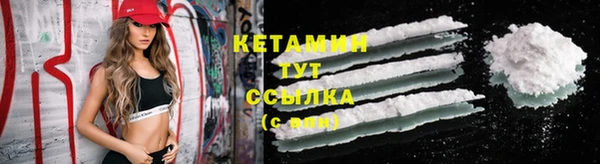 шишки Бородино