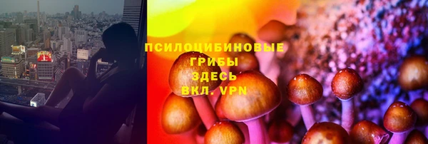 метадон Богданович