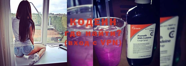 шишки Бородино