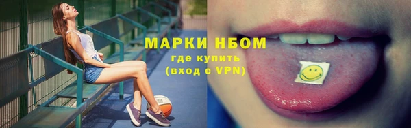 шишки Бородино