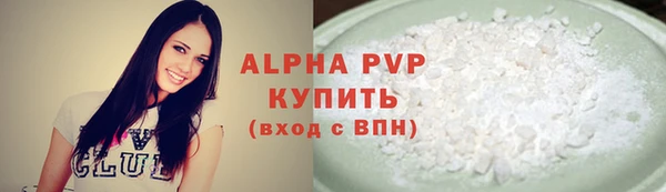 шишки Бородино