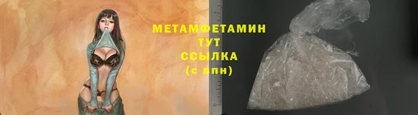 шишки Бородино