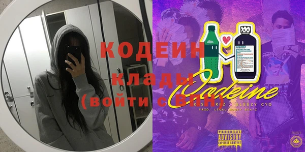 шишки Бородино