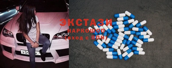 шишки Бородино