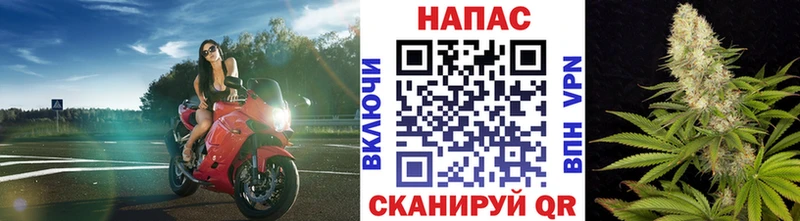 Бошки марихуана OG Kush  hydra как зайти  Донецк  что такое наркотик 